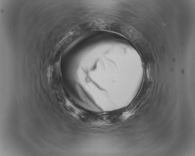 X0000066081347200604071721