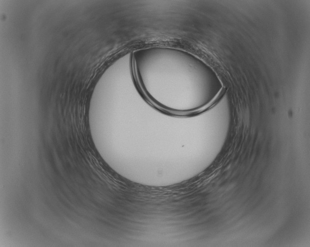 X0000066081348200604071721