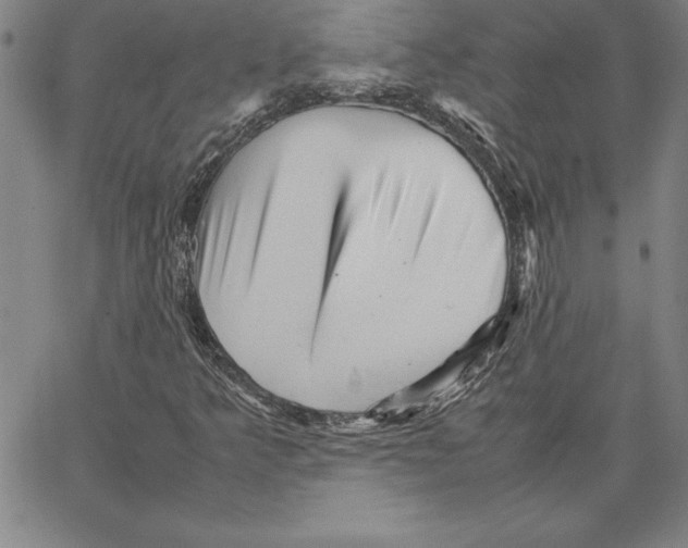 X0000066081349200604071721