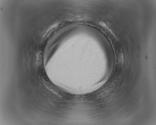 X0000066081350200604071721