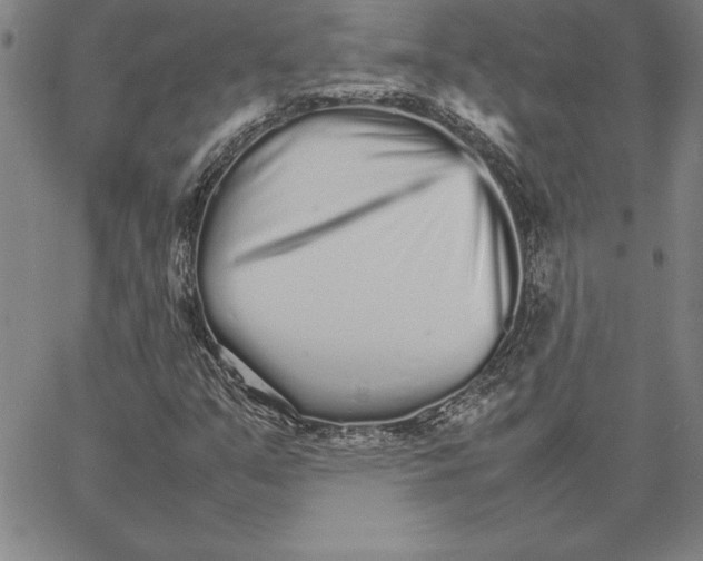 X0000066081351200604071721