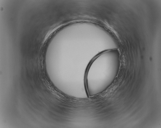 X0000066081352200604071721