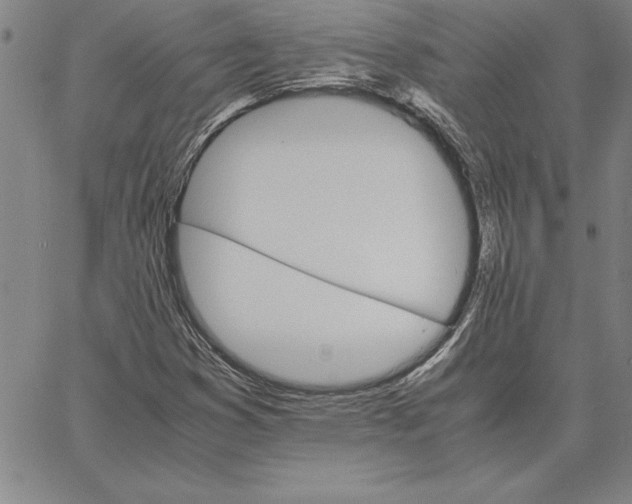 X0000066081353200604071721