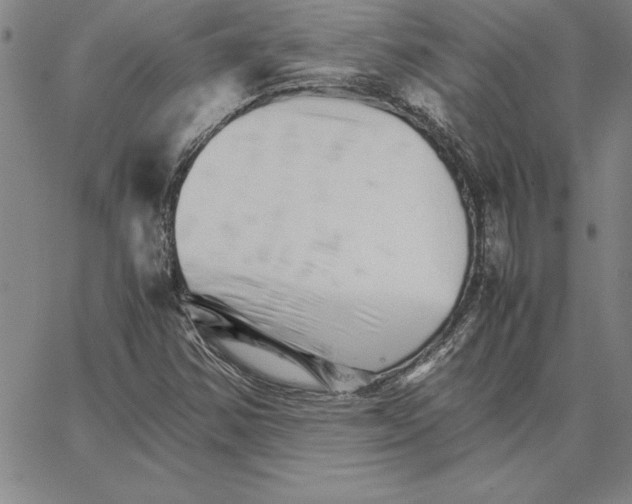 X0000066081354200604071721