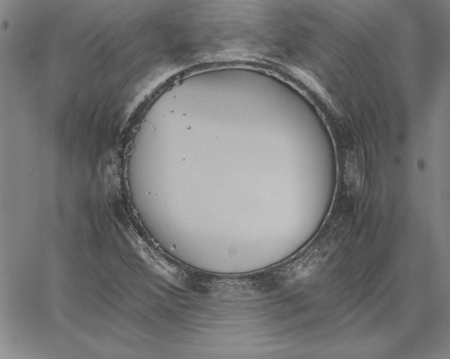 X0000066081356200604071721