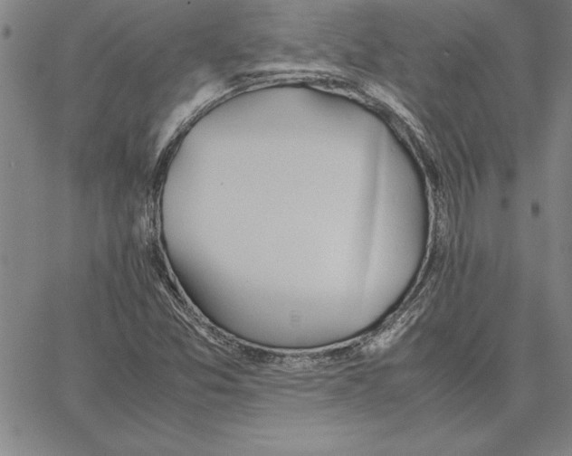 X0000066081357200604071721