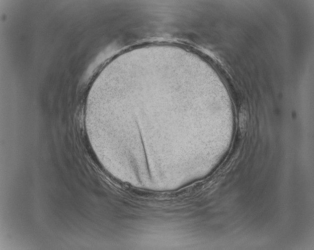 X0000066081359200604071721