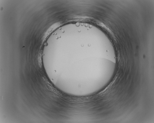 X0000066081362200604071721