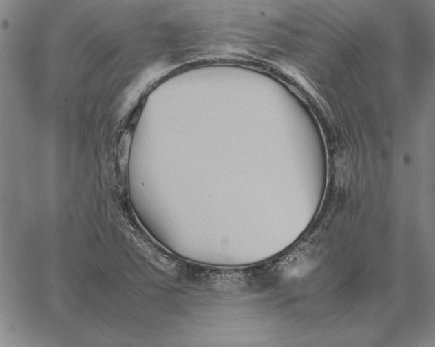 X0000066081363200604071721