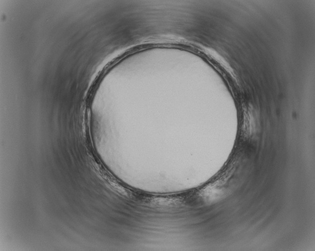 X0000066081364200604071721