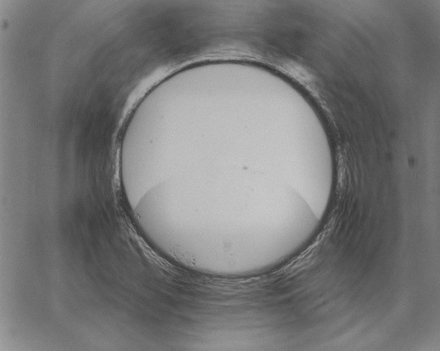 X0000066081366200604071721