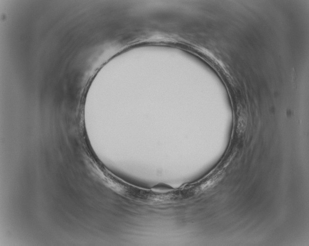 X0000066081367200604071721