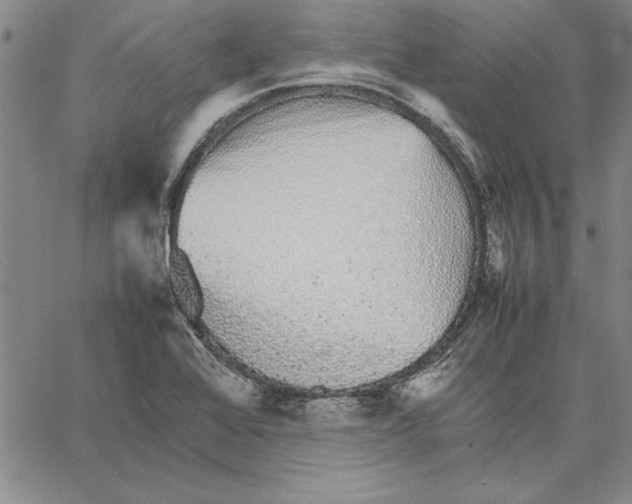 X0000066081368200604071721