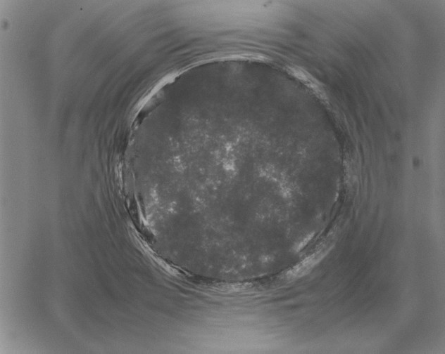 X0000066081369200604071721