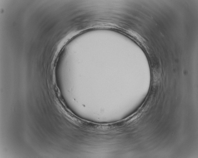 X0000066081371200604071721