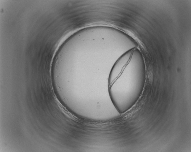 X0000066081372200604071721