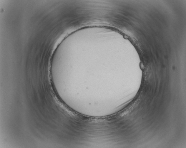 X0000066081374200604071721