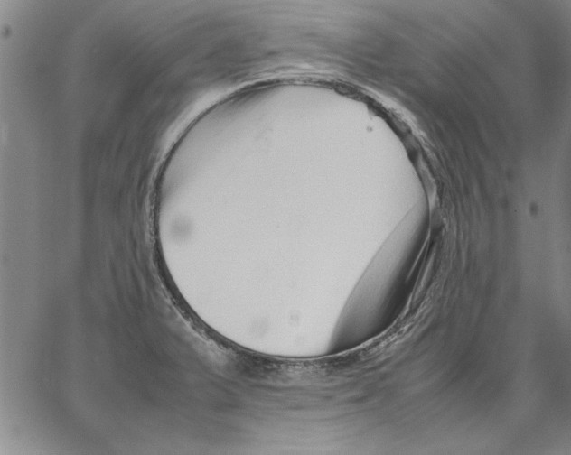 X0000066081375200604071721