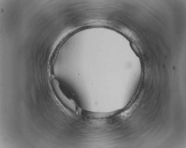 X0000066081376200604071721