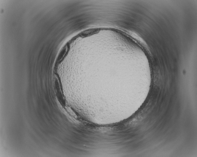 X0000066081380200604071721