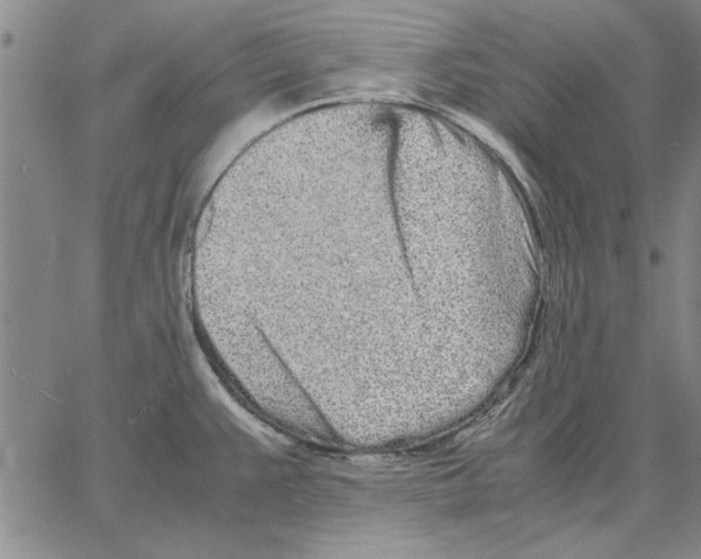 X0000066081383200604071721