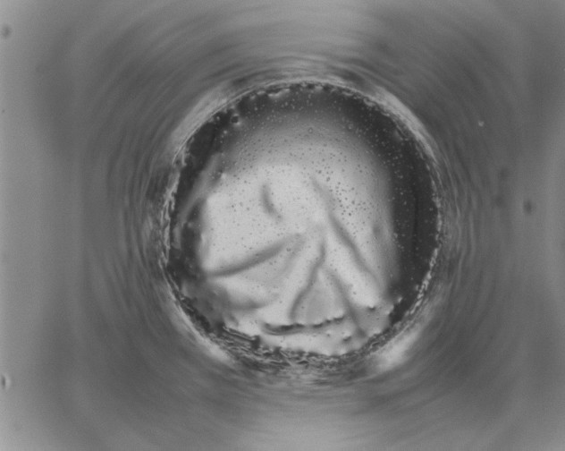 X0000066081385200604071721