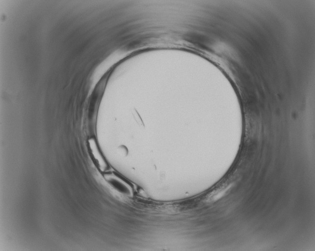 X0000066081387200604071721