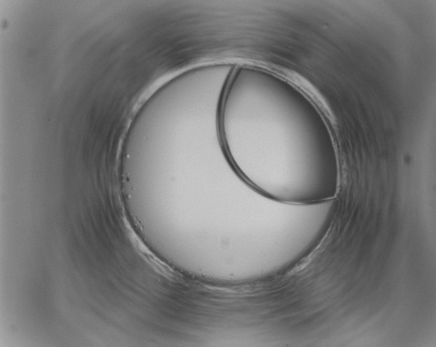 X0000066081388200604071721