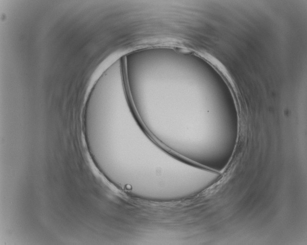 X0000066081389200604071721