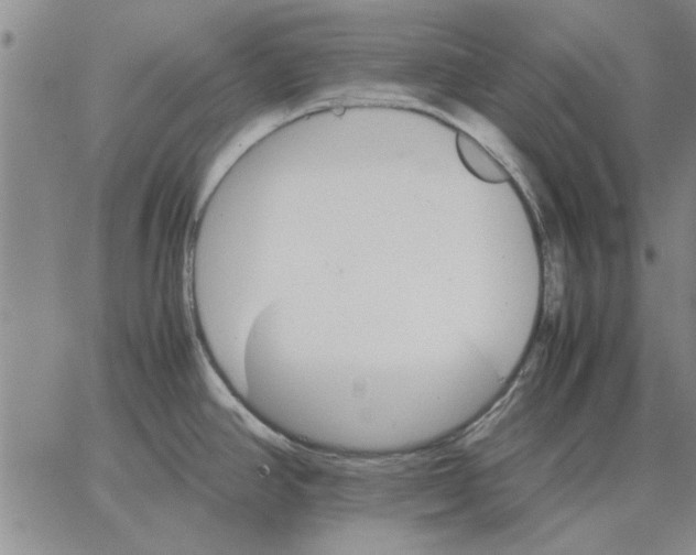 X0000066081390200604071721