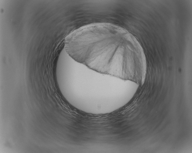 X0000066081393200604071720