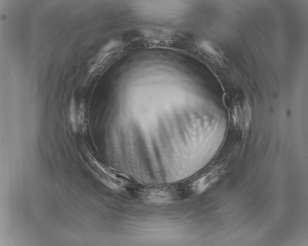 X0000066081396200604071720