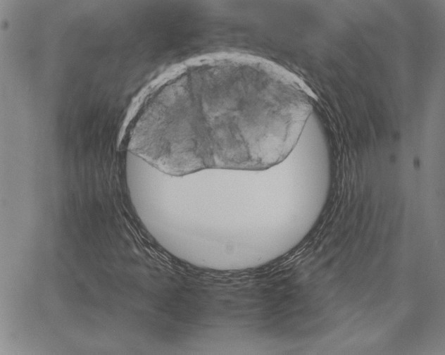 X0000066081397200604071720