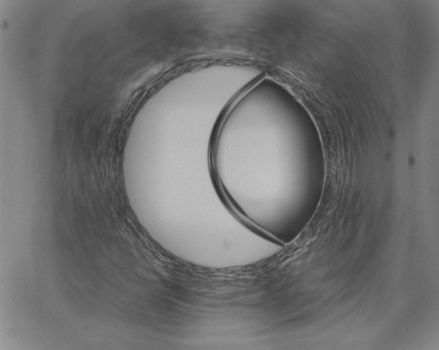 X0000066081398200604071720