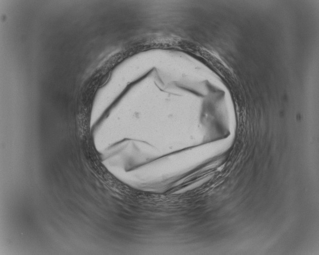 X0000066081399200604071720