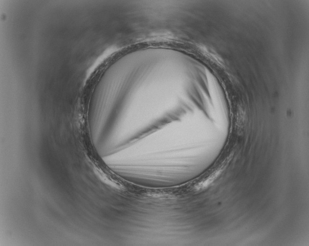 X0000066081400200604071720