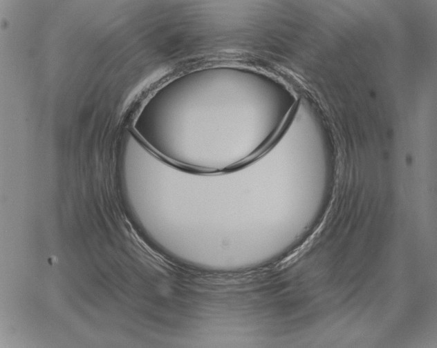 X0000066081402200604071720