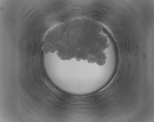 X0000066081403200604071720