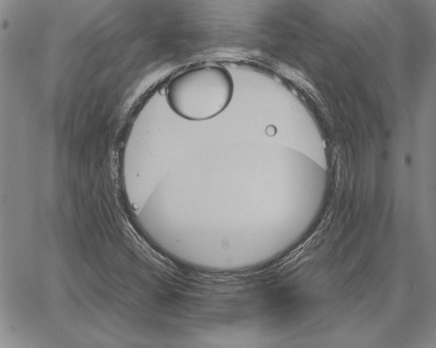 X0000066081404200604071720