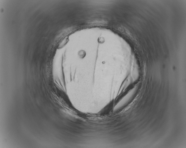 X0000066081405200604071720