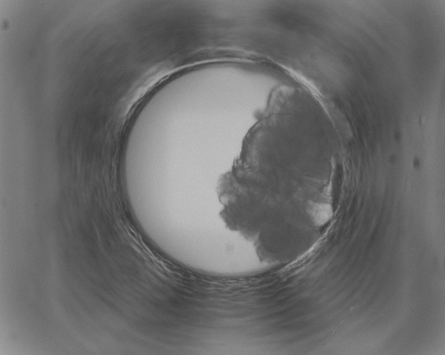 X0000066081407200604071720