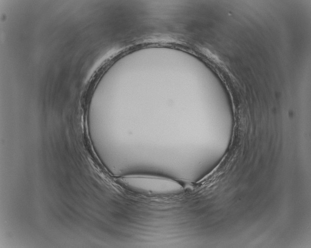 X0000066081408200604071720