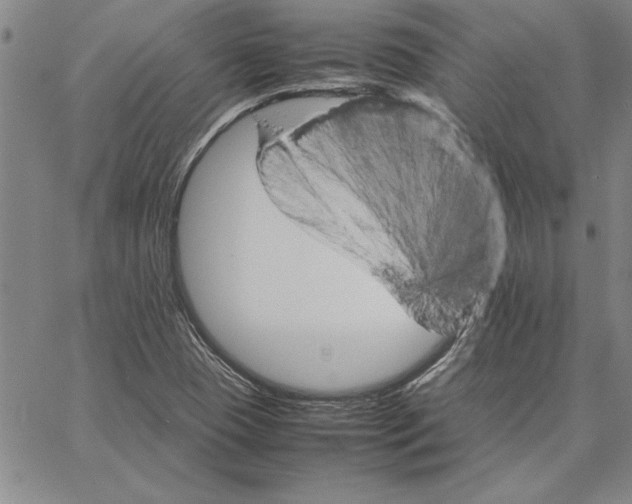 X0000066081409200604071720