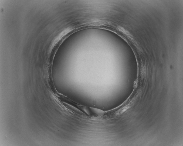 X0000066081410200604071720