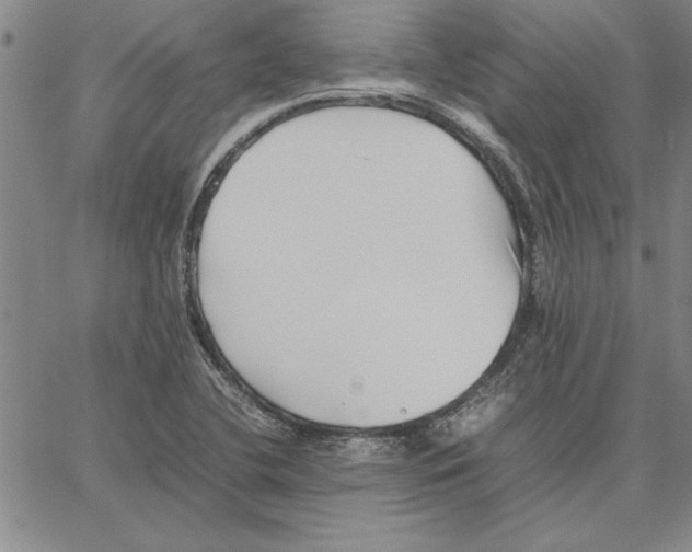 X0000066081412200604071720