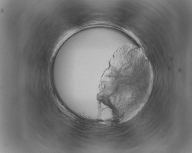 X0000066081413200604071720