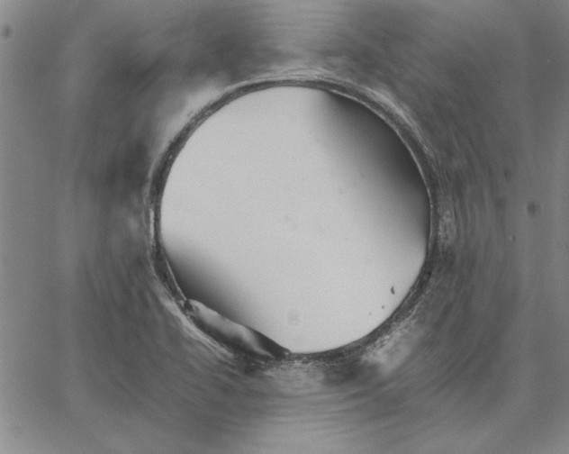 X0000066081414200604071720