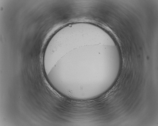 X0000066081416200604071720