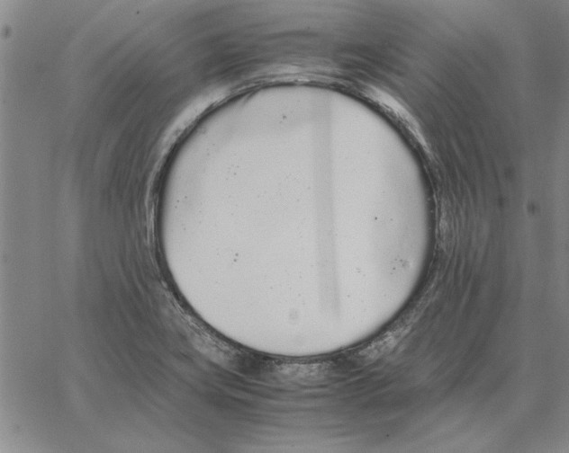 X0000066081419200604071720