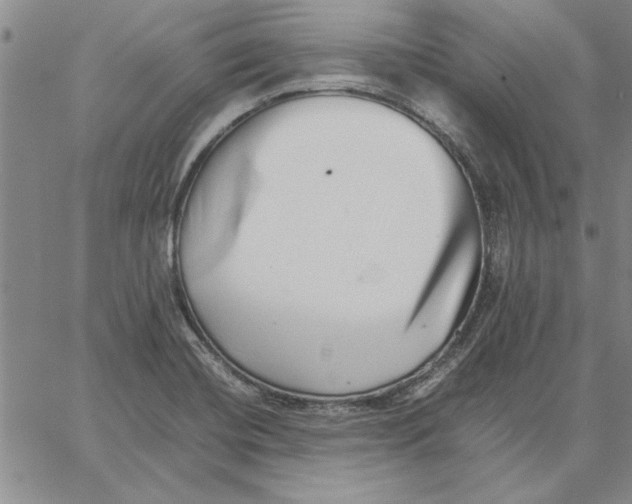 X0000066081420200604071720